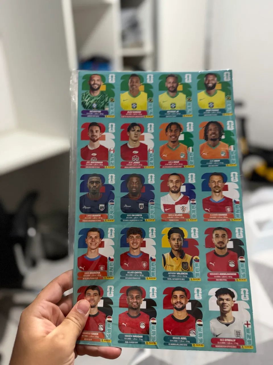 KIT ATUALIZAÇÃO PANINI ORIGINAL 