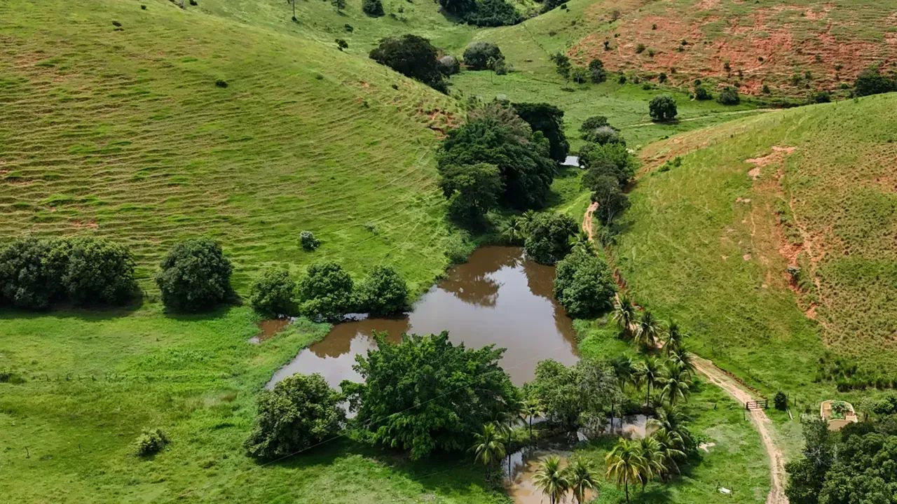 Oportunidade Única: Fazenda de Alta Produtividade agropecuária.