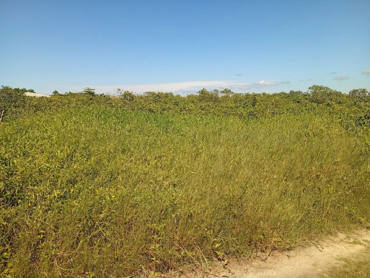 Terreno na praia 