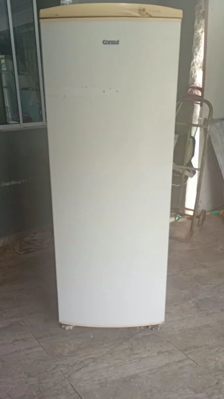 Vendo geladeira funcionando perfeitamente 