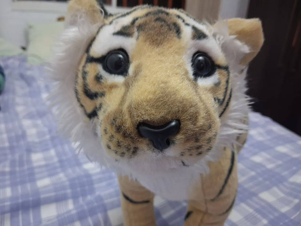 Pelucia - Foto 3