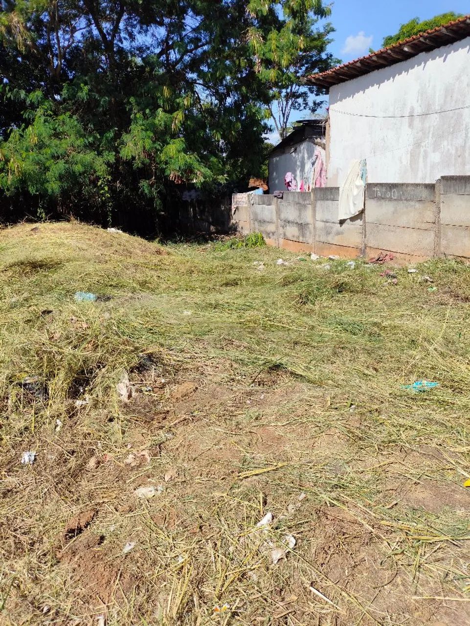 Limpeza de terrenos e calçadas com roçadeira costal - Foto 4