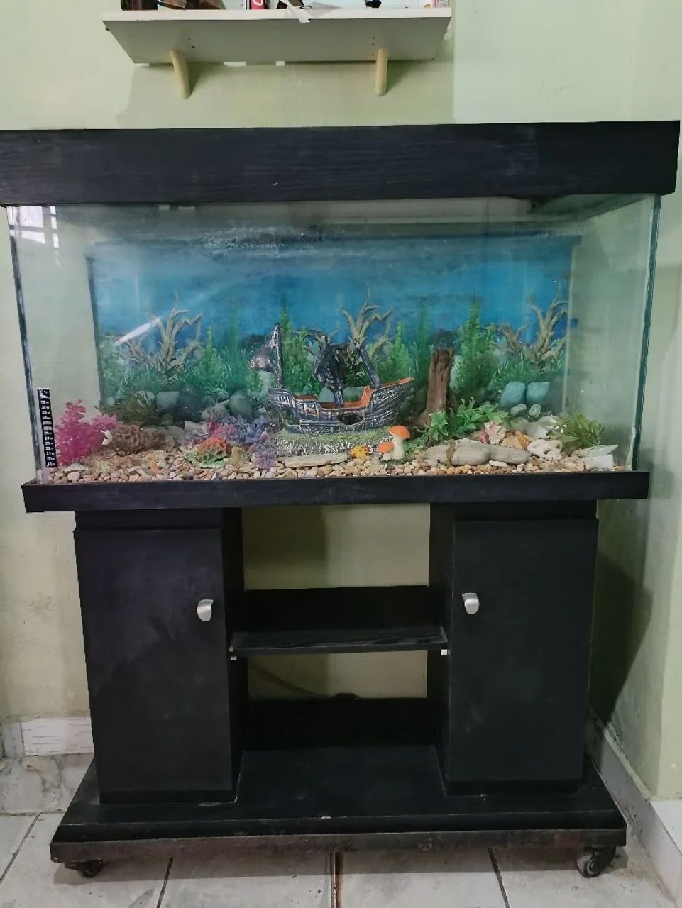 Aquário com estante 