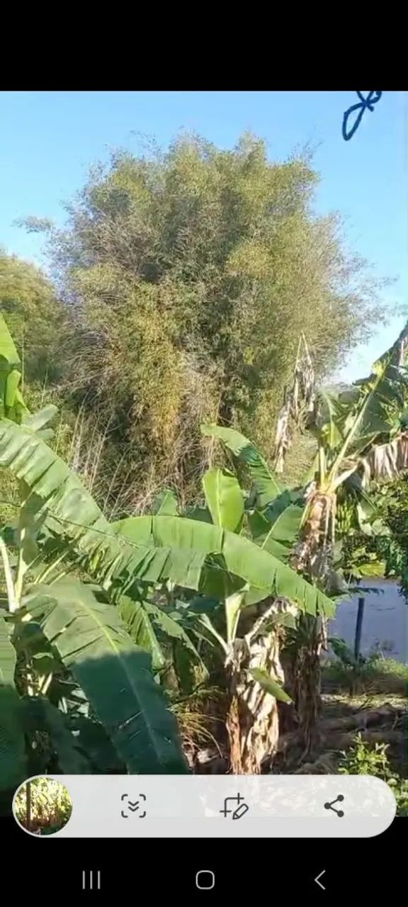 Venda de sitio - Foto 3