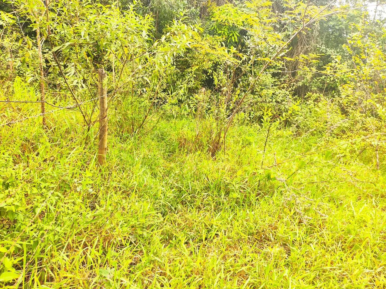 Vendo Imóvel Urbano c/ 740m2 Ótimo local - Foto 2