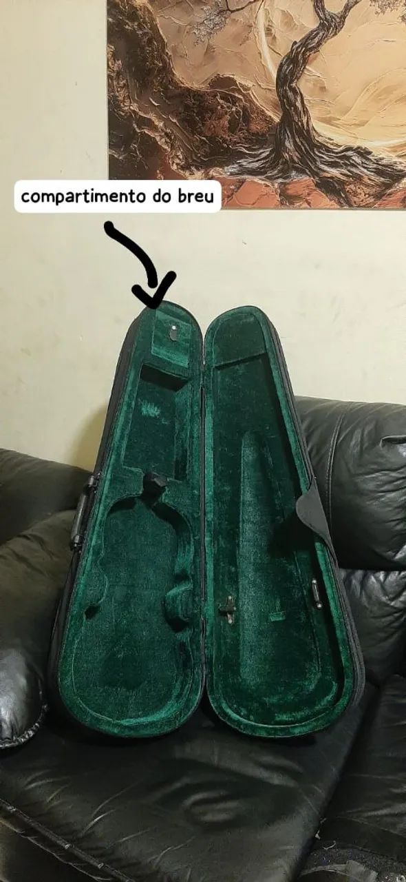 Violino Giannini 4/4 - Foto 2