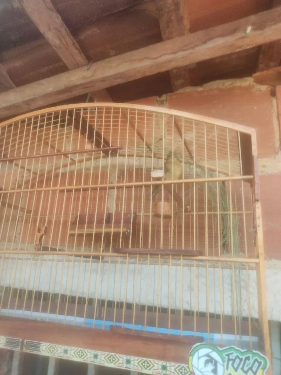 Gaiola  - Foto 2