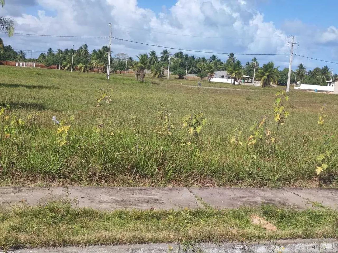 LOTE NO CONDOMINIO MIRIDIAM PRAIA MAR [8523] - Foto 4