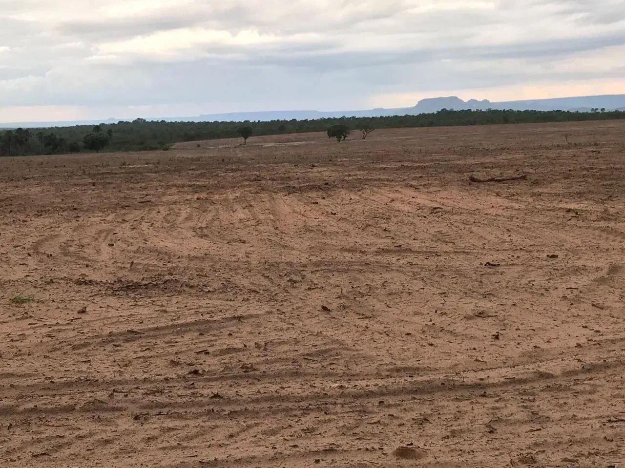 Fazenda a venda, Novo Jardim - Tocantins!! - Foto 2