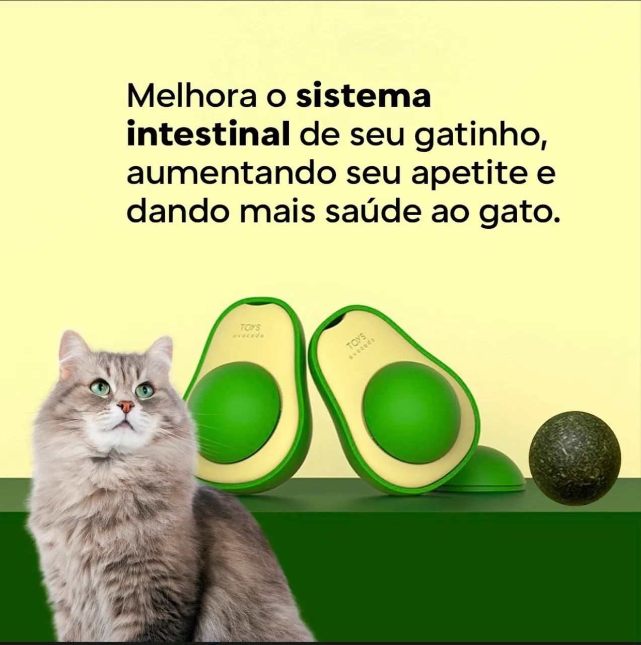 Catnip Abacate  - Foto 3