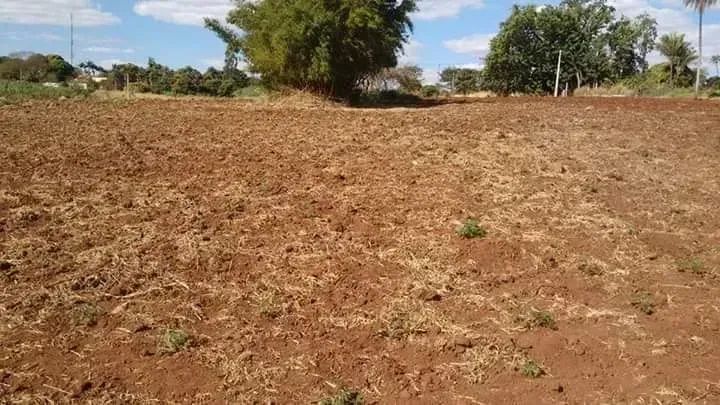 COD430.LOTE RURAL NA BR- Jaraguari/MS - Foto 4
