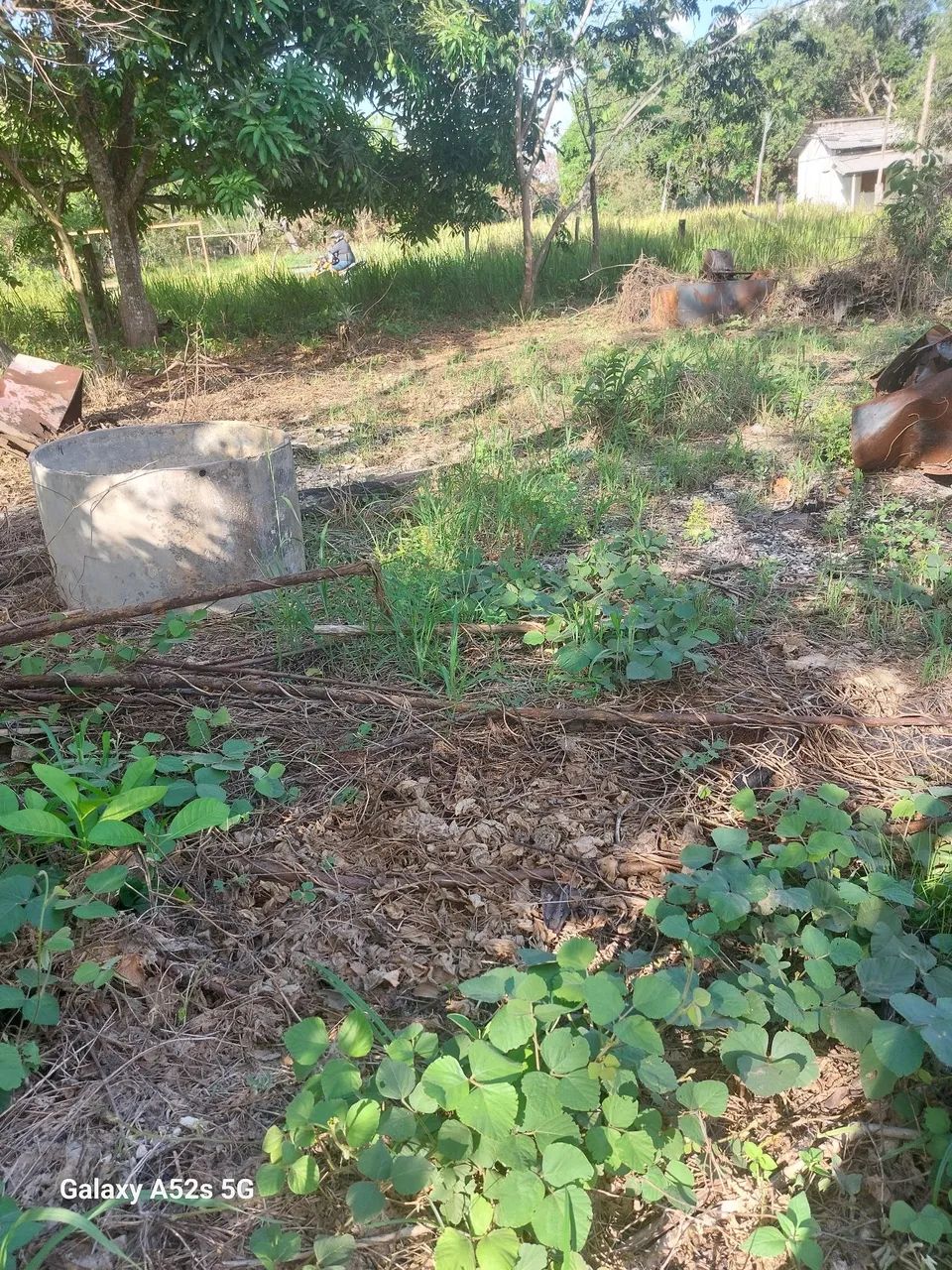 Não  - Foto 3