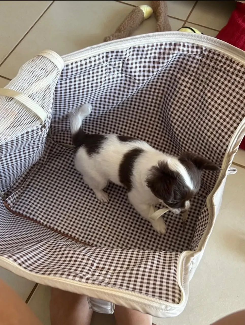 Bolsa pet  - Foto 2