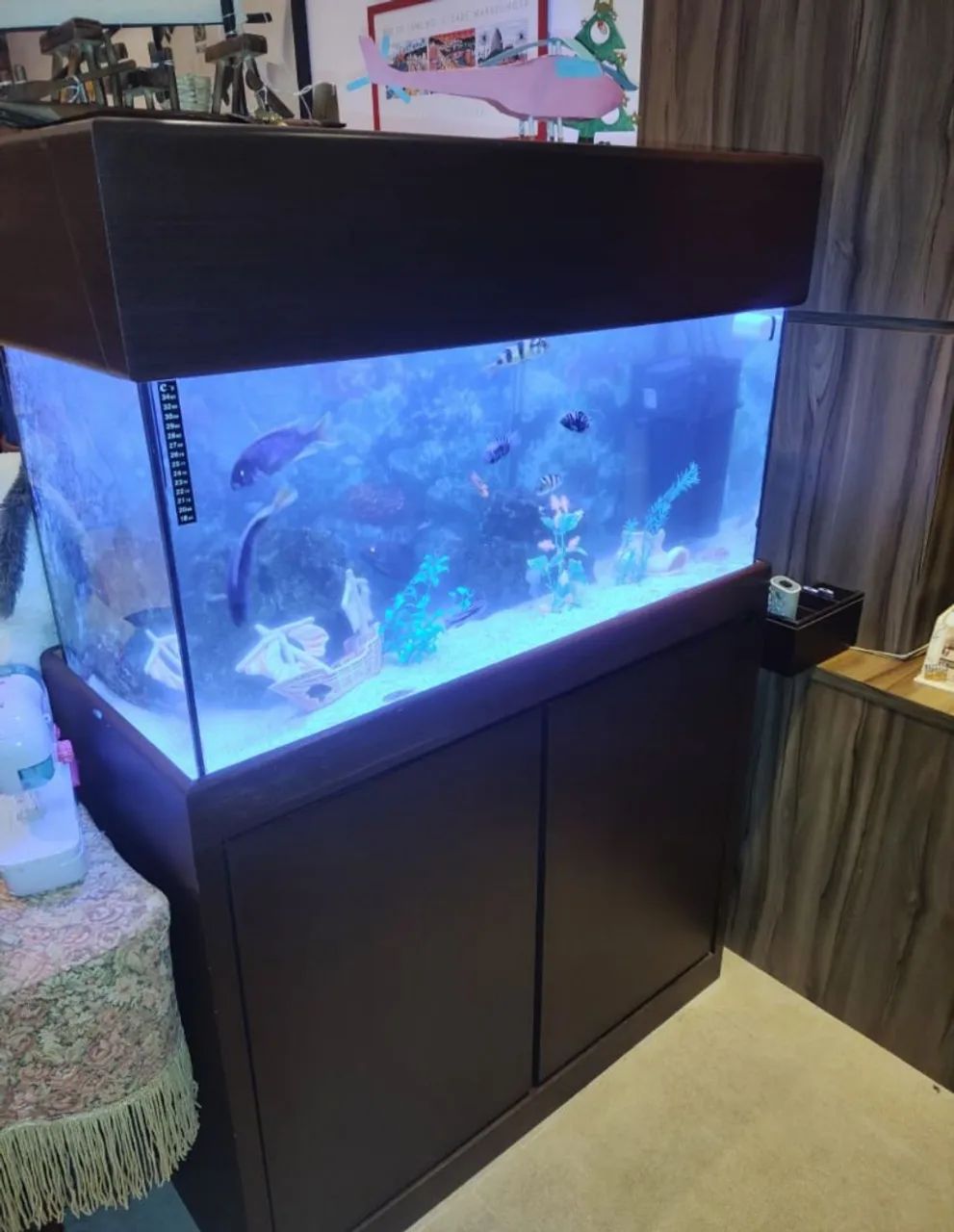 Aquário 200 litros 100x40x50