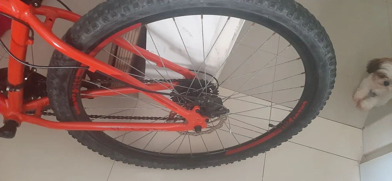 vd bixe aro 29 seminova - Foto 2