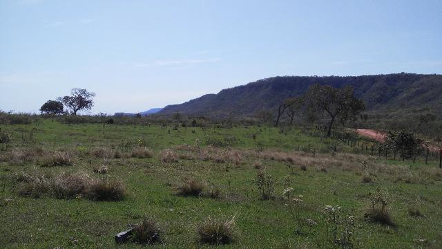 Fazenda 2.125 hectares - Munic. Aquidauana MS - Foto 16