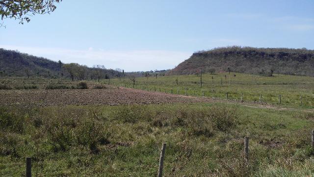 Fazenda 2.125 hectares - Munic. Aquidauana MS - Foto 2