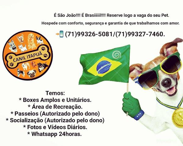 Seu Pet em boas mãos