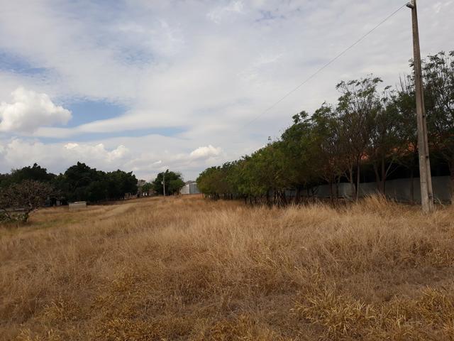 Aviário em Campo Verde/ 7 Hectares - Foto 9
