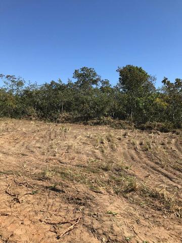 Vendo Fazenda Porteira fechada 80 hectares/DOCUMENTADA - Foto 2