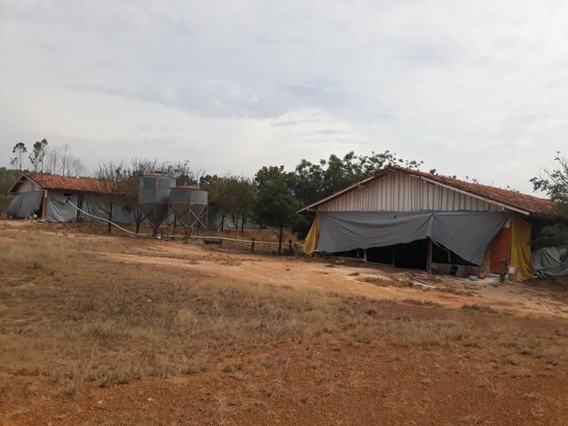 Aviário em Campo Verde/ 7 Hectares - Foto 10