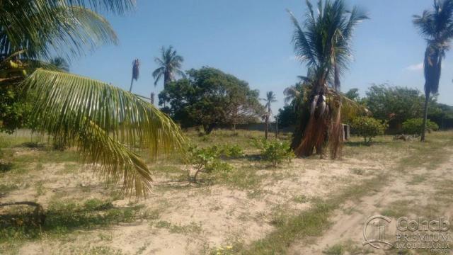 Sitio no povoado são jose - Foto 3
