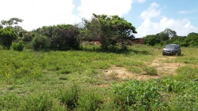 Lote no pov. matapuã. bairro mosqueiro - Foto 5