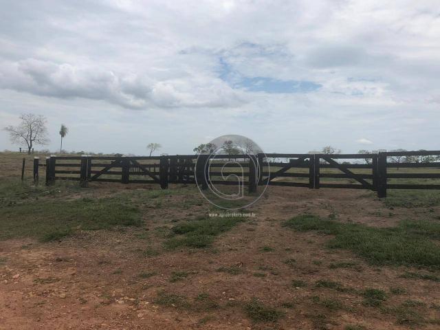 Fazenda 330 ha região chumbo poconé - Foto 12