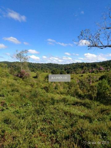 Fazenda - Foto 10