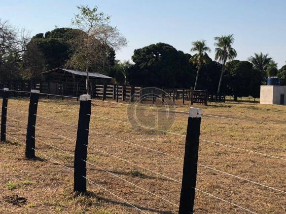 Fazenda 330 ha região chumbo poconé - Foto 16