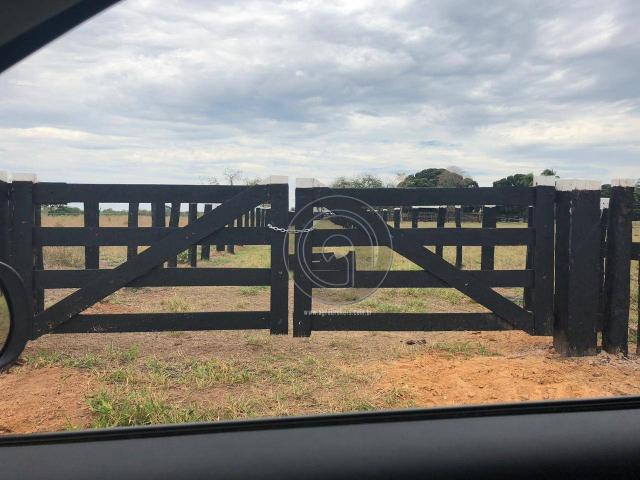 Fazenda 330 ha região chumbo poconé - Foto 2