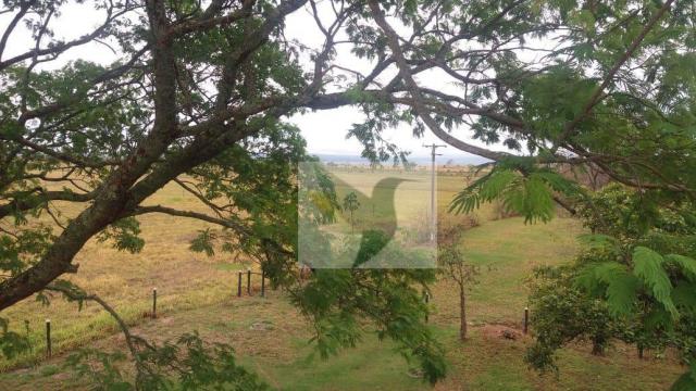 Chácara com 3 dormitórios à venda, 20000 m² por r$ 1.350.000,00 - centro - chapada dos gui - Foto 4