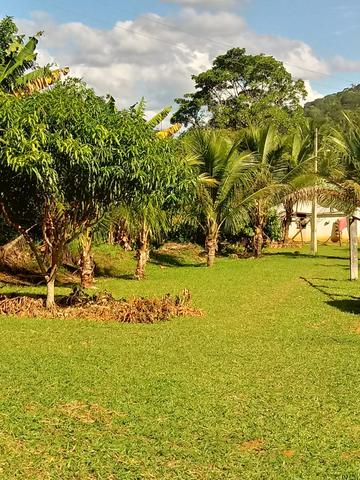 Fazenda Região de Coaraci - Foto 9