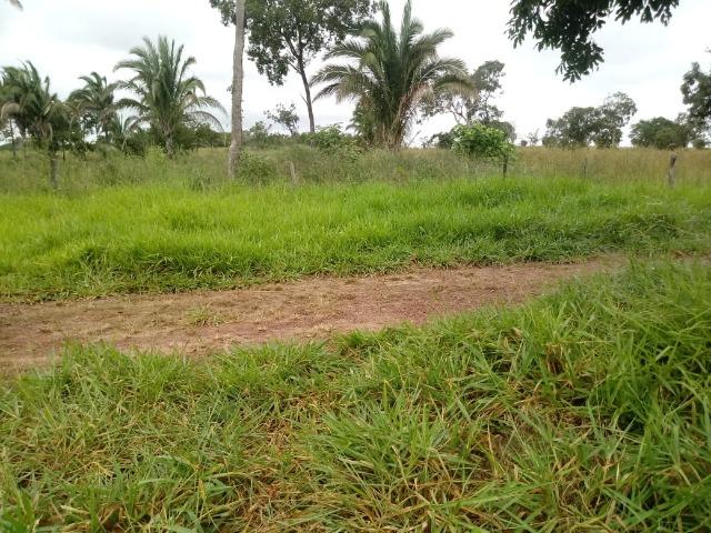 Fazenda para Pecuária com 333 hectares - Foto 16