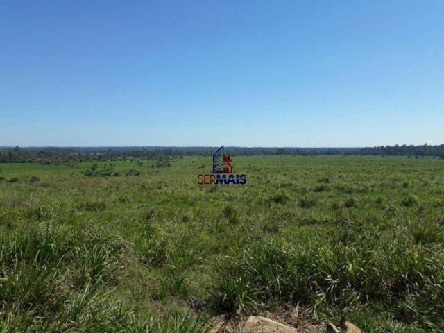 Fazenda à venda, por R$ 40.000.000 - Zona Rural - Rolim de Moura/RO