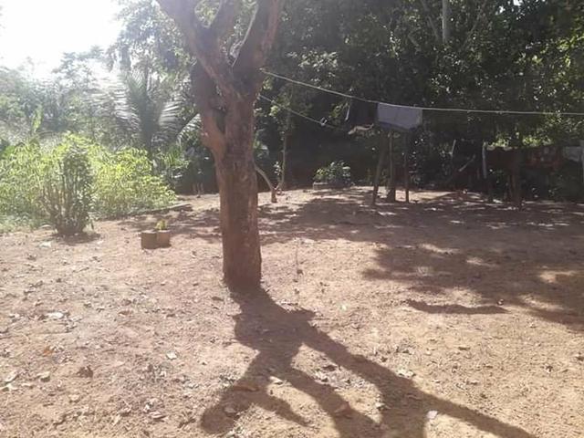 Terreno 23 por 43 Fundo