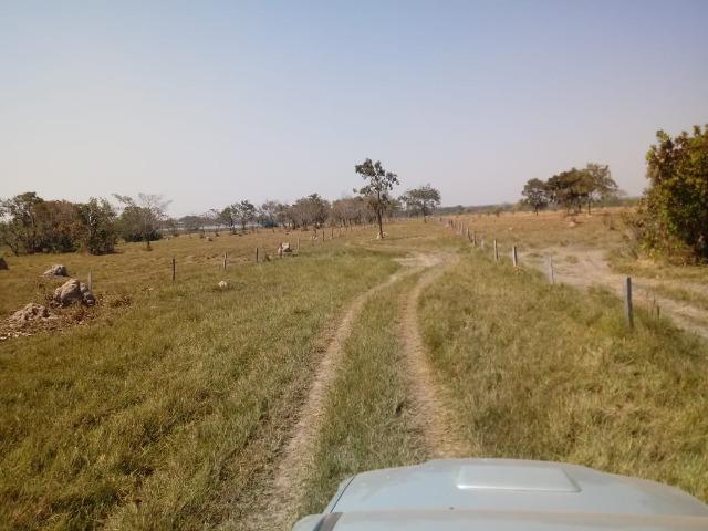 Fazenda em Livramento há 44 km Cuiabá com piscina, muito pasto, represas e lago - Foto 14