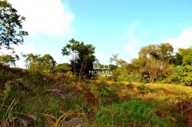 Terreno à venda, 40.920m² por R$ 690.000 - Barra Grande - Maraú/BA - Foto 8