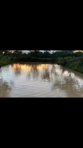 Lindo Sítio 9Hec 90km Cuiabá Escriturado - Foto 5