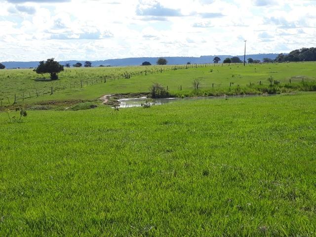 Fazenda em Arenapolis Mato Grasso Terra de Cultura - Foto 8