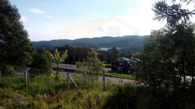 Chácara para venda em campina grande do sul, br 116 - Foto 2