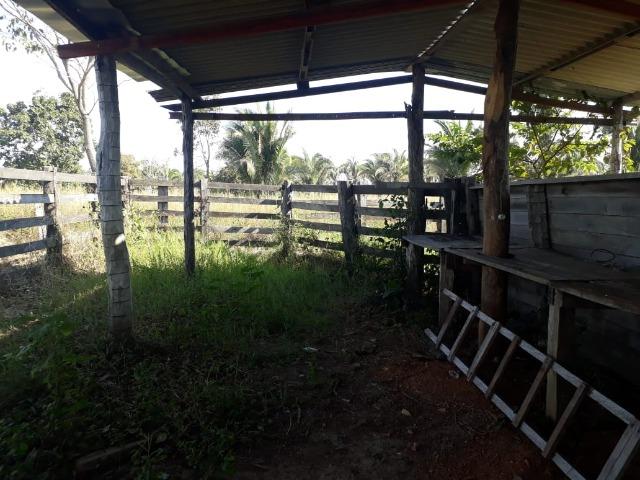 Fazenda para Pecuária com 333 hectares - Foto 12