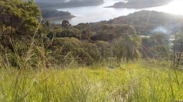 Chácara para venda em campina grande do sul, br 116 - Foto 5