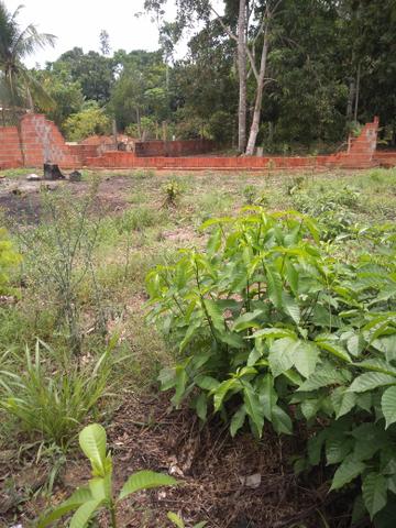 Terreno na Vila Acre - Benfica - Foto 3