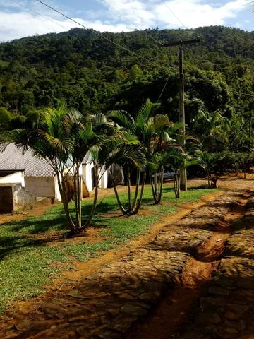 Fazenda Região de Coaraci - Foto 2