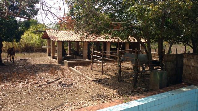 Fazenda em José de Freitas-PI - Foto 3