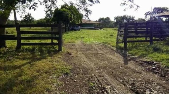 Fazenda 440 hectares - Livramento - Foto 2