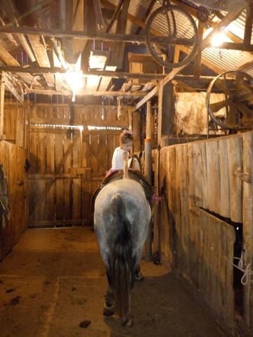 Égua crioula top no laço - Foto 4