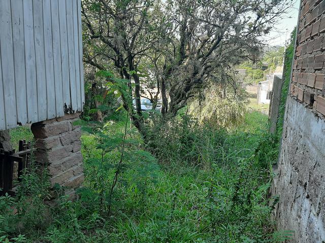 Terreno 10m×32m - Foto 4
