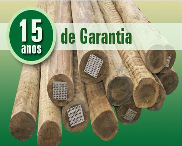 Eucalipto Tratado Temos a melhor solução em Madeira de Eucalipto Tratado da Bahia